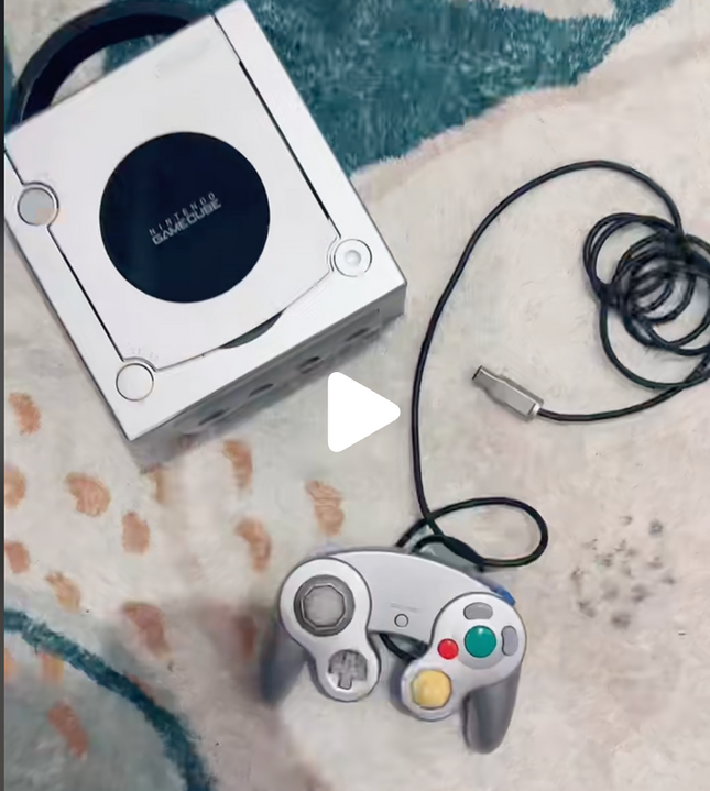 Platinum Gamecube System Gamecube
